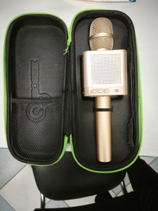 Micgeek dsp-q10s