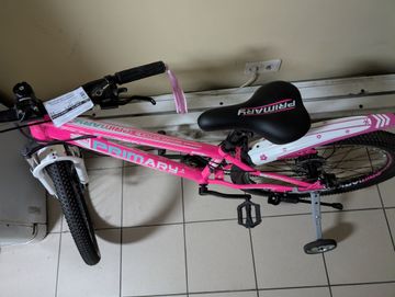 01-200636539: Corso primary 24 рожевий