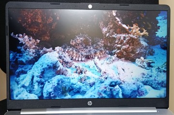 Б/в Ноутбук Hp 15/core i3-1215u ddr5/8gb ddr5/hdd *відсутній/ssd 256 gb/*інтегрована 01-201140090