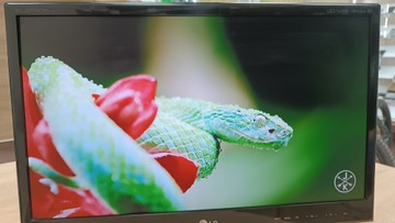 Б/в Монітор Lg m2250d-pz 01-201150622