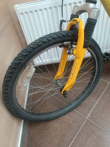 01-200777238: Comanche pony