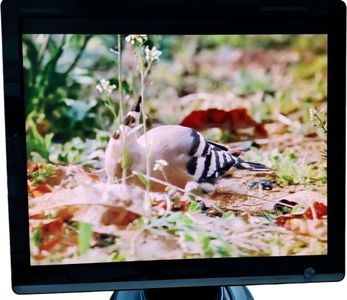 Б/у Монитор Samsung 931c 01-200600793