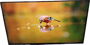 Б/в Телевізор Jvc lt-43mu619 01-200578829