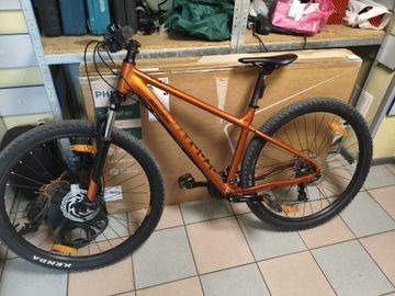 Bergamont revox 3 29" 2022 / рама 44,5см