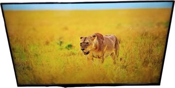 Б/в Телевізор Jvc lt-43mu619 01-200578829