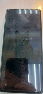 Б/в Мобільний телефон Xiaomi redmi note 13 pro 4g 8/256gb 01-201052408