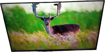 Б/в Телевізор Jvc lt-43mu619 01-200578829