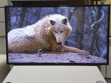 Б/в Телевізор Samsung ue43t5300 01-200978800