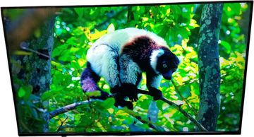 Б/в Телевізор Jvc lt-43mu619 01-200578829