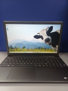 Б/в Ноутбук  15/core i3-1115g4 ddr4/4gb ddr4/hdd 120 gb/ssd 120 gb/*інтегрована 01-201150974