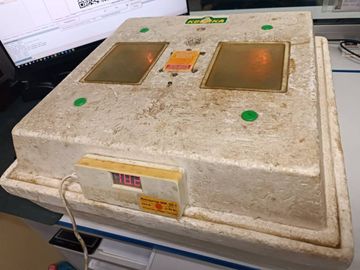 Б/в Інкубатор Квочка mi-30 01-200402311