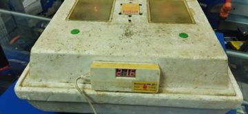 Б/в Інкубатор Квочка mi-30 01-200402311