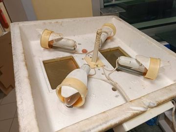 Б/в Інкубатор Квочка mi-30 01-200402311