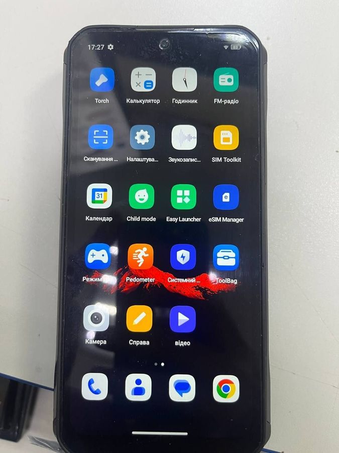 wp33 pro 8/256gb