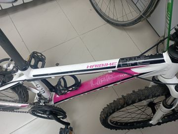 01-200607678: Haibike little life 4.10