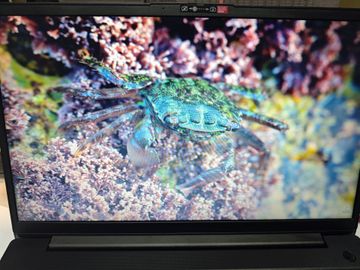 Б/у Ноутбук Lenovo 15/ryzen 5 7520u ddr5/16gb ddr5/hdd *відсутній/ssd 512 gb/*інтегрована 01-200831433