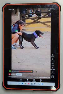 Б/у Планшет Blackview active 10 pro 12/512gb lte 01-200833588