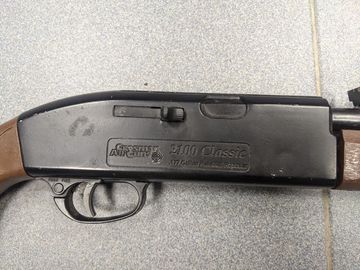 01-200575288: Crosman classic 2100