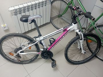 01-200607678: Haibike little life 4.10