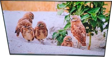 Б/у Телевизор Tesla q55s935gus 01-200846356