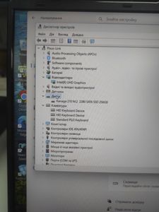 Pixus intel n100/ram8gb/ssd256gb