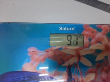 Б/в Електронні ваги Saturn st-ps0298 01-201028405