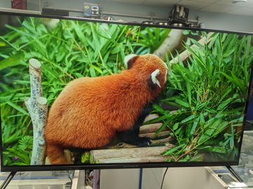 01-200620580: Grunhelm 43f500-ga11v