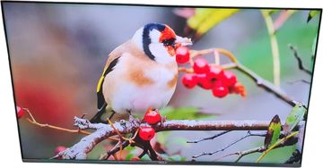 Б/у Телевизор Tesla q55s935gus 01-200846356