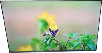 Б/у Телевизор Tesla q55s935gus 01-200846356