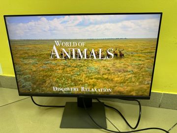 Б/в Монітор Dell p2419h 01-200898774