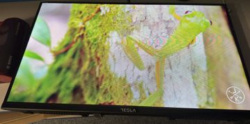 Б/у Телевизор Tesla 32e635bhs 01-200905728