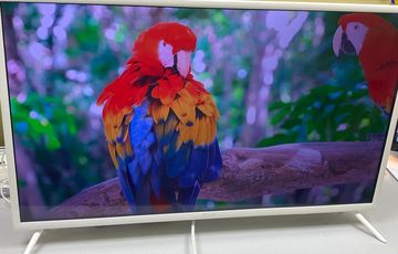 01-200781421: Kivi 32f710kw