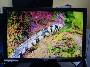 Б/в Монітор Asus vw193d-b black 01-200815876