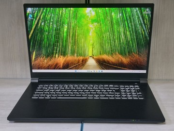 Б/в Ноутбук Clevo 17/core i7-13620h ddr5/32gb ddr4/hdd *відсутній/ssd 1000 gb/geforce rtx3050 6gb 01-200982151