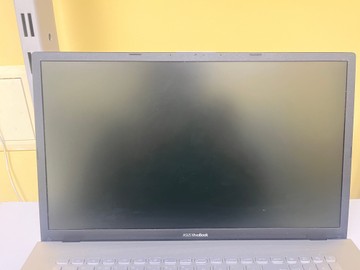 Б/у Ноутбук Asus 17/core i3-1115g4 ddr4/8gb ddr4/hdd *відсутній/ssd 256 gb/*інтегрована 01-201074883