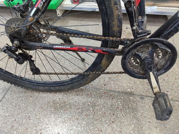 01-200777832: Crossbike shark 29