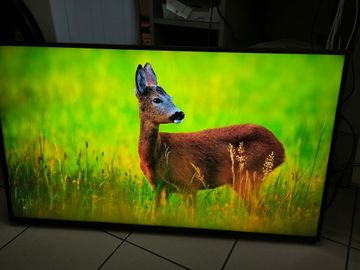 Б/в Телевізор Lg 43ut8100 01-200876232