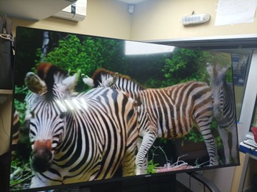 Б/у Телевизор Xiaomi tv a 55 2025 01-200938533