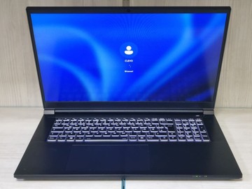 Б/в Ноутбук Clevo 17/core i7-13620h ddr5/32gb ddr4/hdd *відсутній/ssd 1000 gb/geforce rtx3050 6gb 01-200982151