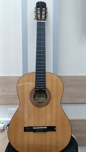 01-200781811: Hohner hc 06