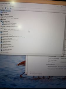 01-200744405: Asus 14/core i5-1135g7 ddr4/8gb ddr4/hdd *відсутній/ssd 512 gb/geforce mx350 2gb