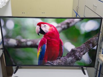 Б/в Телевізор Xiaomi mi tv p1e 43" l43m7-7aeu 01-200867953