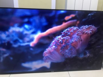 Б/в Телевізор Kivi 50u750nb 01-200890144