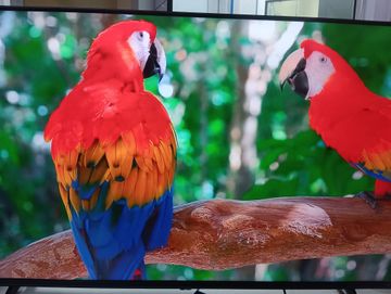 Б/в Телевізор Hisense 43a6n 01-200875806