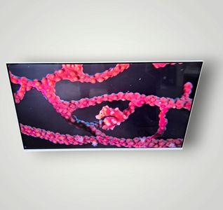 Б/в Телевізор Kivi 43u750nw 01-200866209