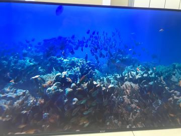 Б/в Телевізор Kivi 50u750nb 01-200890144