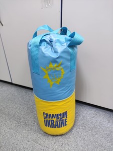 Champion of ukraine