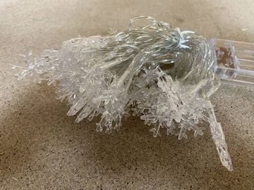 16-000209636: Ayacola x001