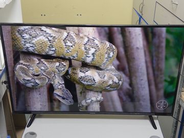 Б/в Телевізор Xiaomi mi tv p1e 43" l43m7-7aeu 01-200867953