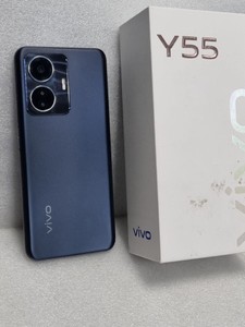 Б/в Мобільний телефон Vivo y55 5g 4/128gb 01-200966415